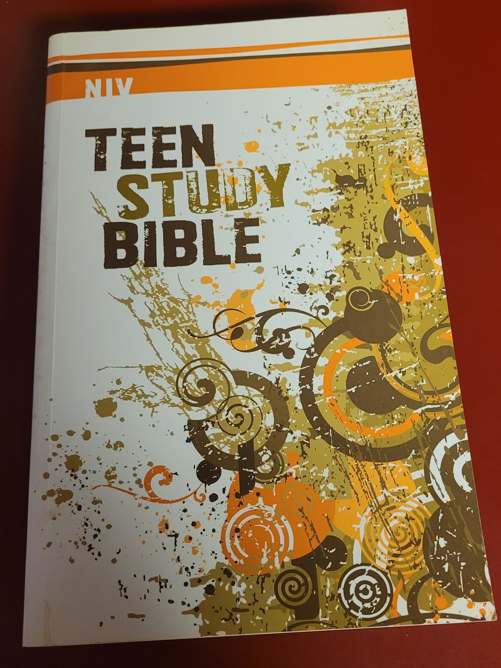 NIV Teen Study Bible.